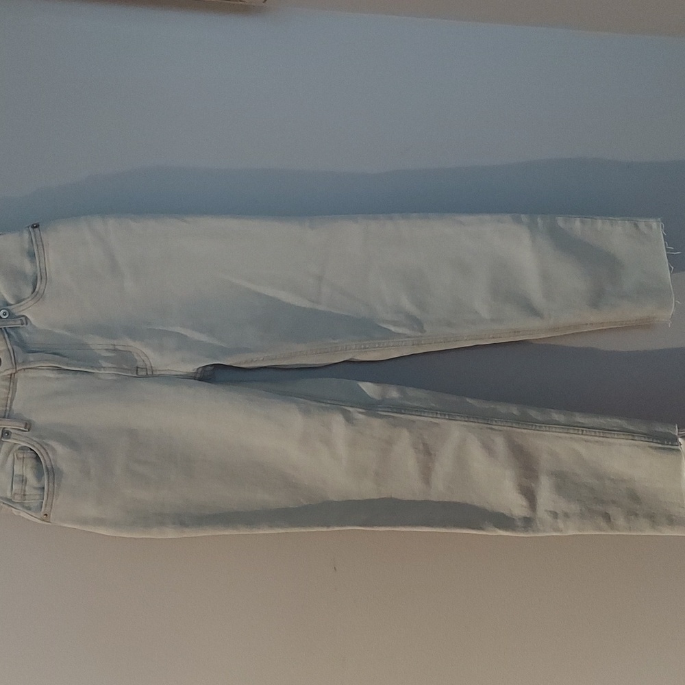 Everlane Cheeky Jean Size 23